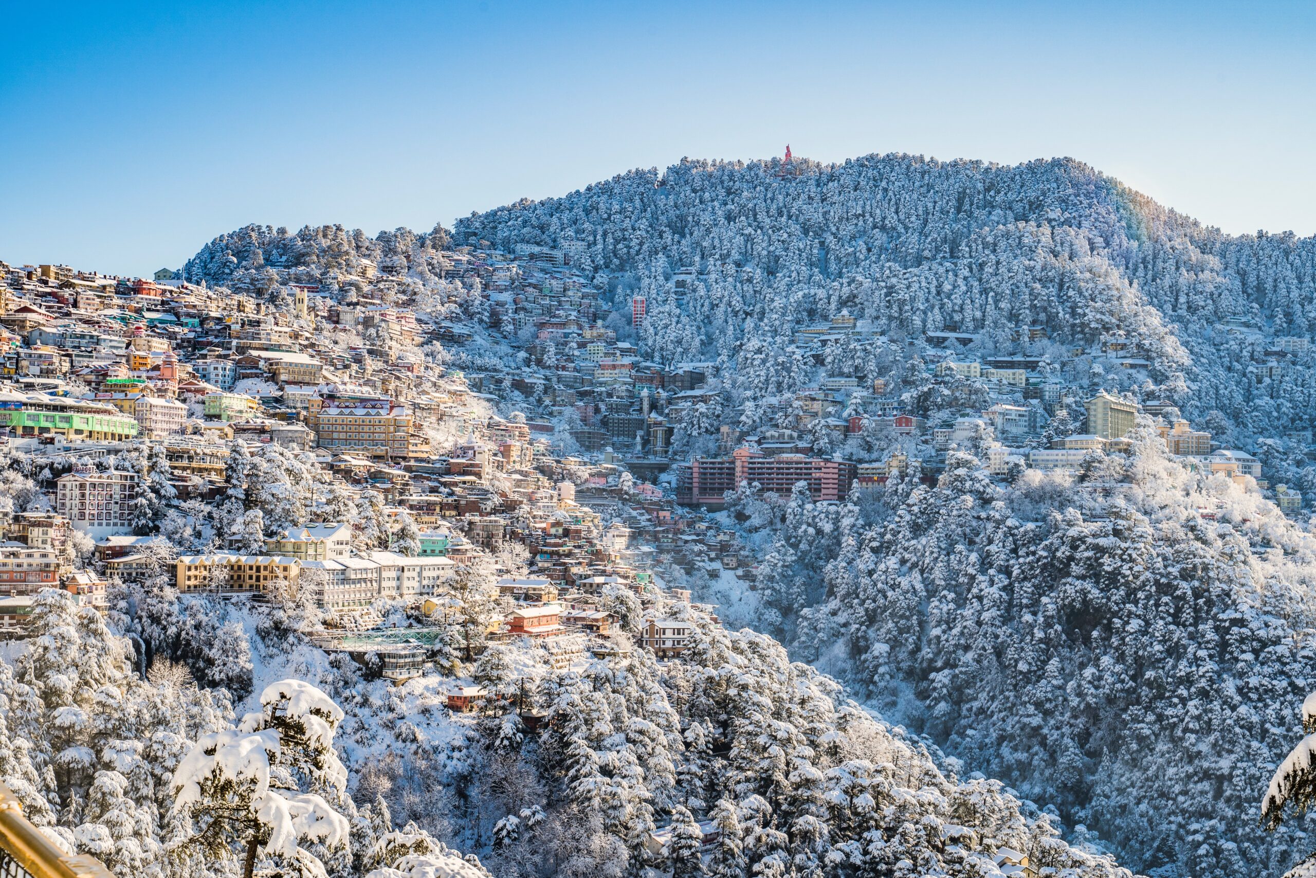 Location: <span>Shimla</span>